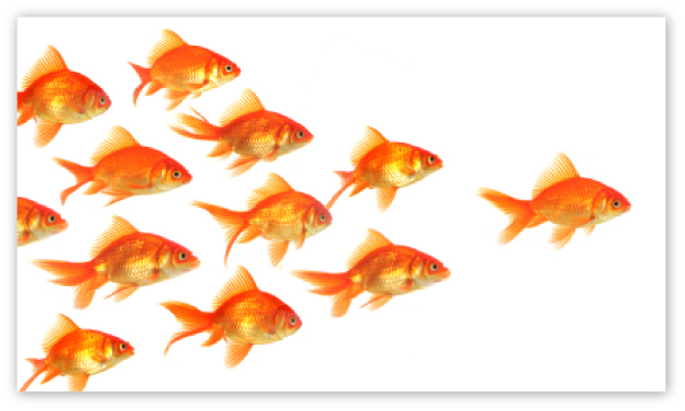 effective-leadership-is-within-your-reach