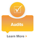 audits