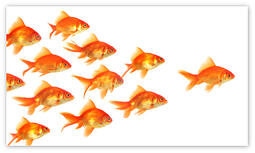 effective-leadership-is-within-your-reach
