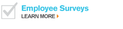 Employee Surveys e4Surveys Button