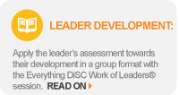 leader development everything disc work of leaders session