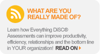 Everything DiSC Assessment Blog Post