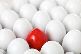 customer service differentiation