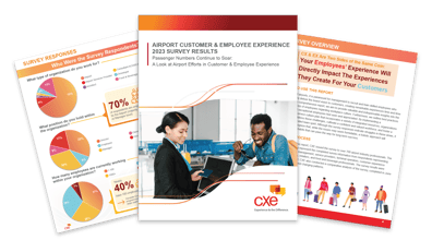 CXE_surveyreport_graphic