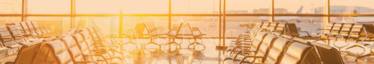 banner_1.png